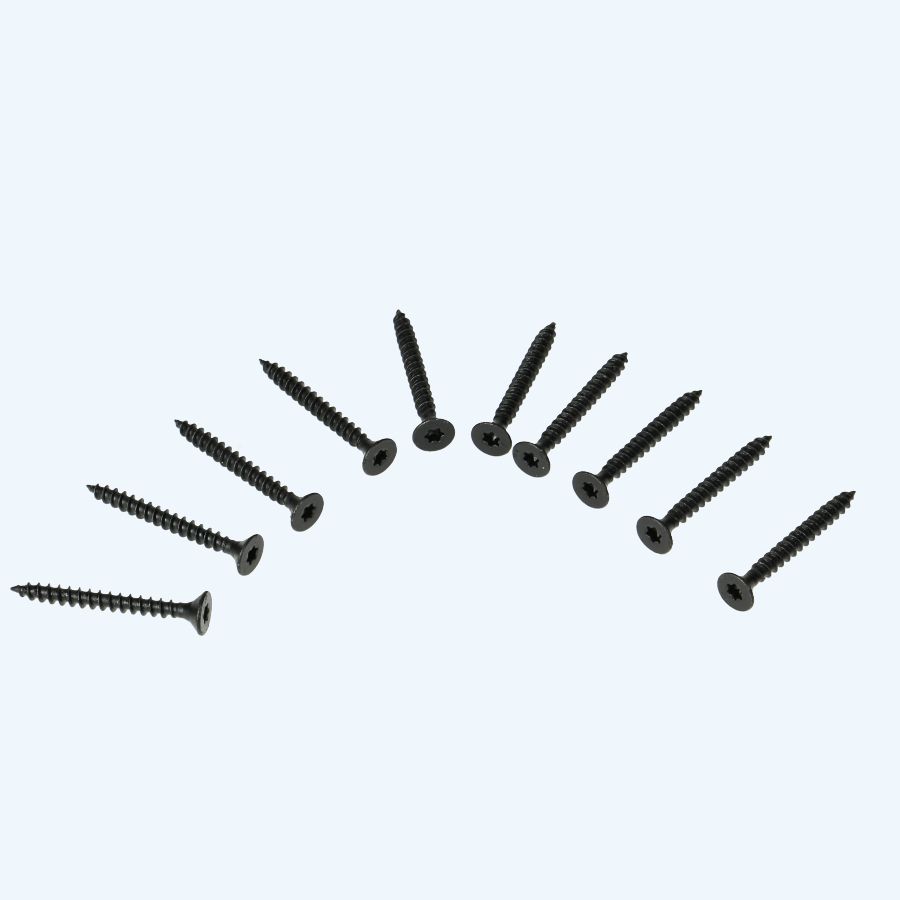 10 stuks zwarte schroeven voor scharnieren RVS, Torx 4,5 x 40 mm 