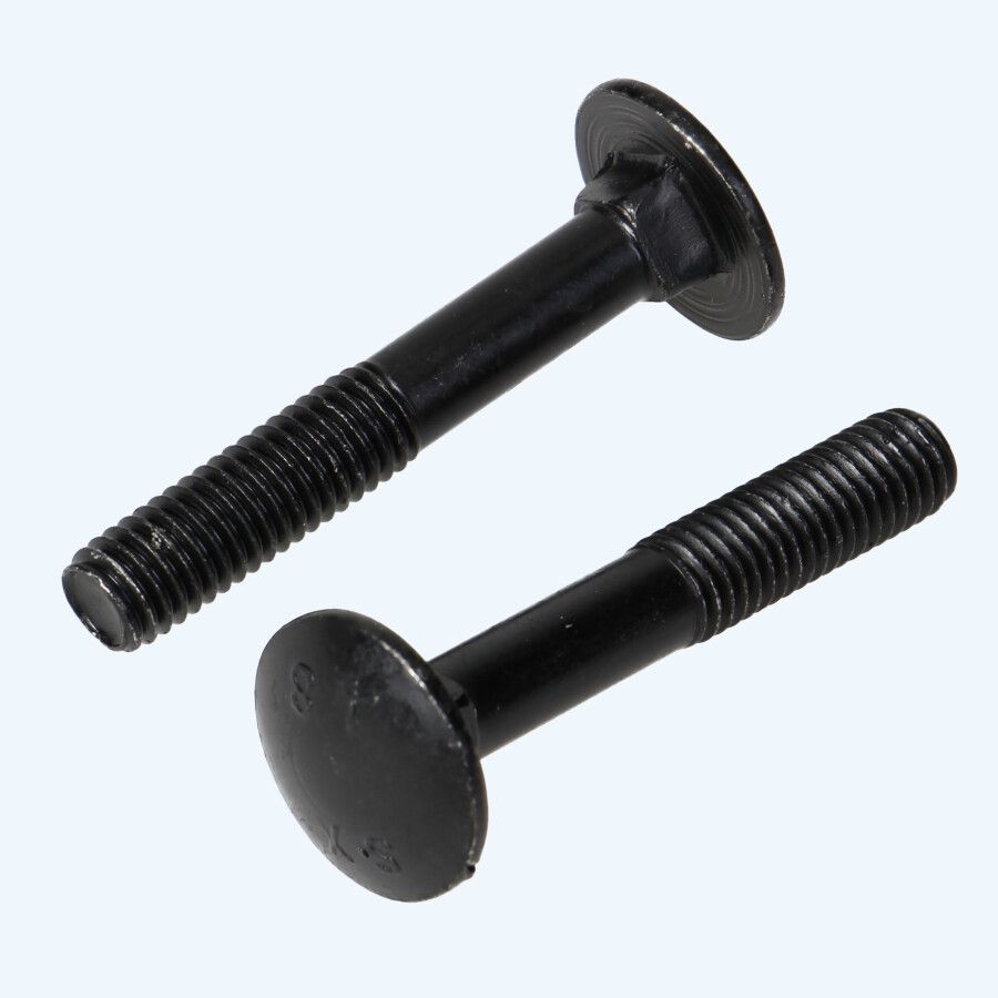 25 stuks slotbout M6 x 60 mm zwart