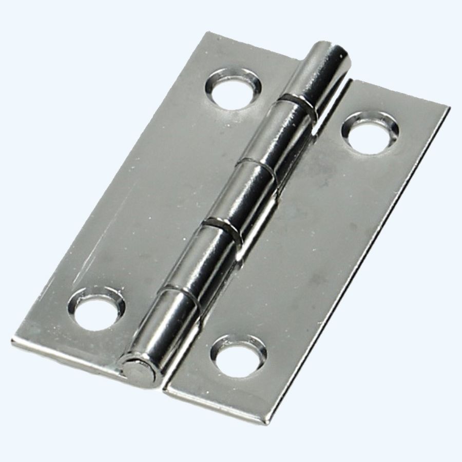 Smalscharnier RVS 30 x 50 mm