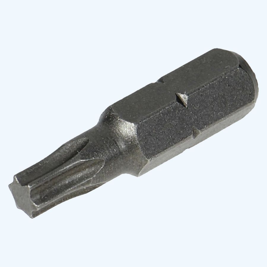 100 stuks Torx 20 bits